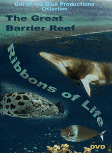 The Great Barrier Reef: Ribbons of Life