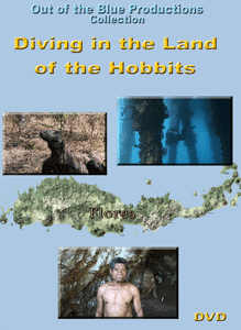 Diving in the Land Of the Hobbits: Flores, Indonesia