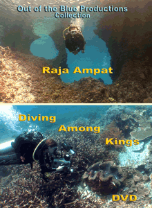 Raja Ampat: Diving Among Kings