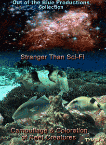 Stranger Than Sci-Fi: Camouflage & Coloration of Reef Creatures
