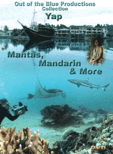 Yap: Mantas, Mandarin, & More