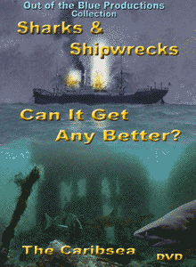 Sharks & Shipwrecks: Can It Get Any Better?