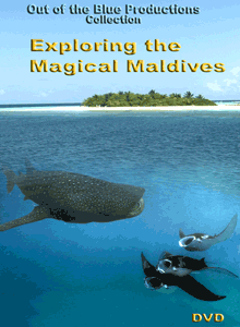 Exploring the Magical Maldives
